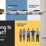 How Long Is 100 Feet?